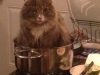 bug-in-a-pot_7296525040_o