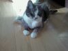 matilda_3529049670_o