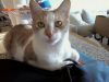 murphy_3528900510_o